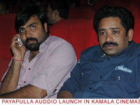 payapullaaudio